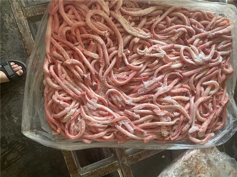 精品鸭气管品质好量大从优货源充足欢迎来电咨询