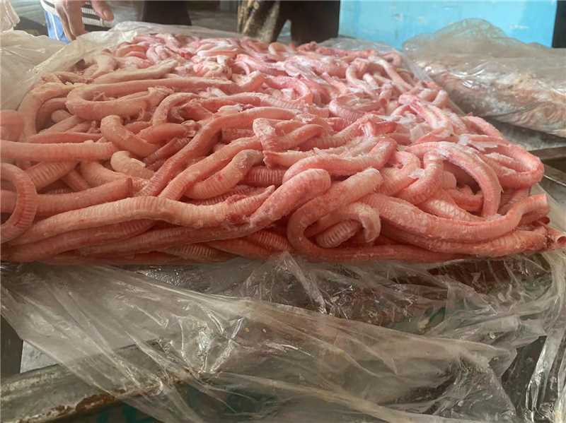 精品鸭气管品质好量大从优货源充足欢迎来电咨询