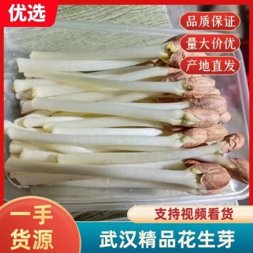 【推荐】湖北本地花生芽,芽苗菜,产地直发质量保证欢迎电联