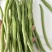 四季豆无筋豆小金豆高山反季节，一件代发，基地直供，欢迎订
