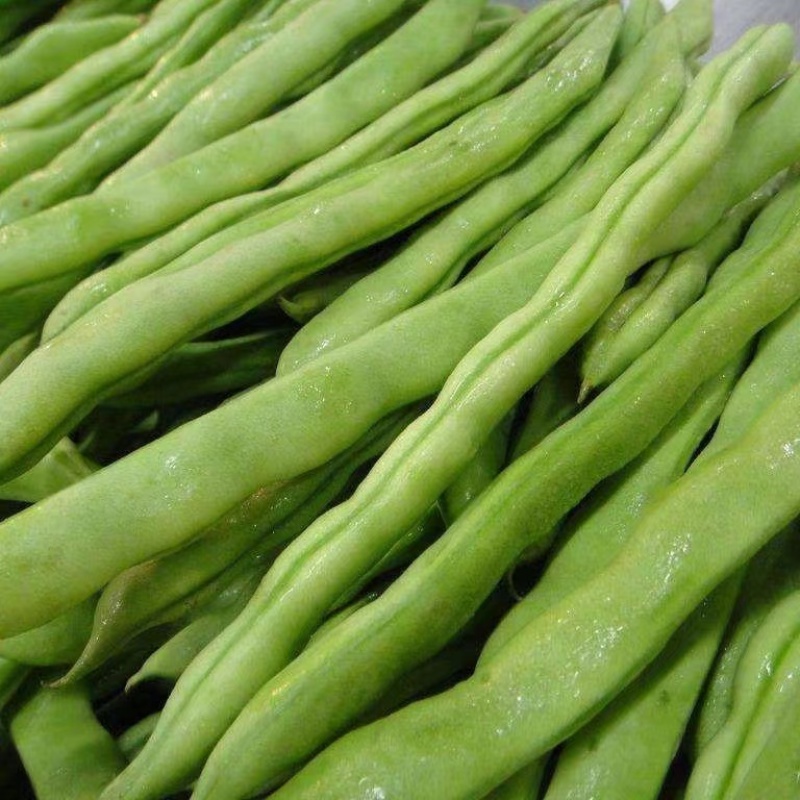 四季豆无筋豆小金豆高山反季节，一件代发，基地直供，欢迎订