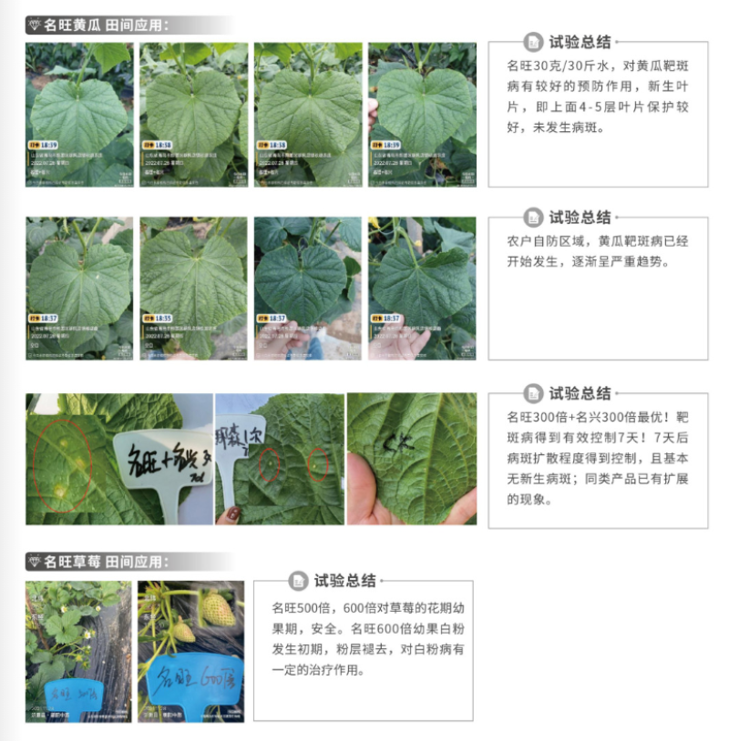 名旺氟吡菌酰胺喹啉铜靶斑病白粉病溃疡病炭疽病杀菌剂