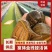 水蛭苗宽体金线蛭活体卵茧蚂蝗，厂家孵卵基地。欢迎来电
