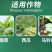 植尔乐20%毒氟磷病毒病杀菌剂