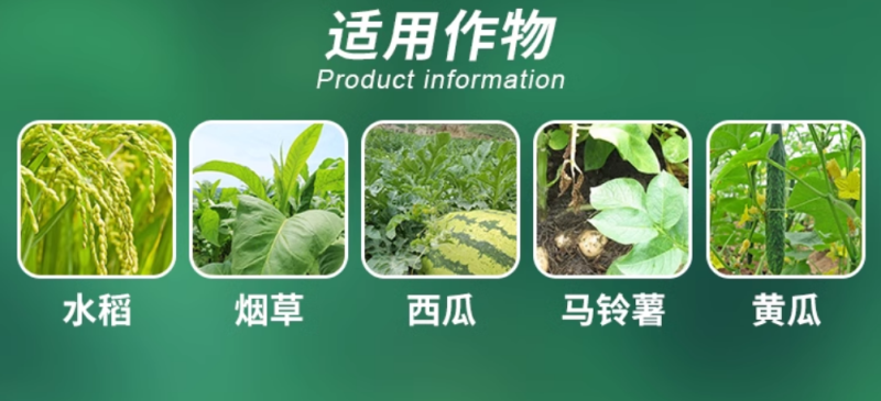 植尔乐20%毒氟磷病毒病杀菌剂