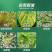 植尔乐20%毒氟磷病毒病杀菌剂
