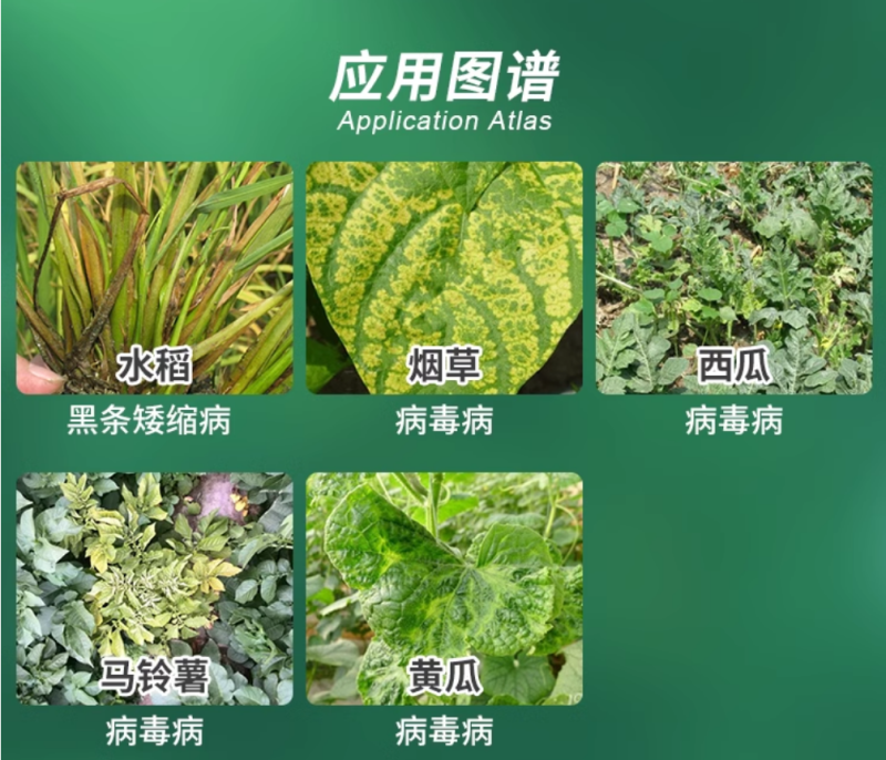 植尔乐20%毒氟磷病毒病杀菌剂