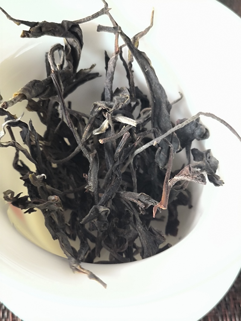 普洱古树大叶茶