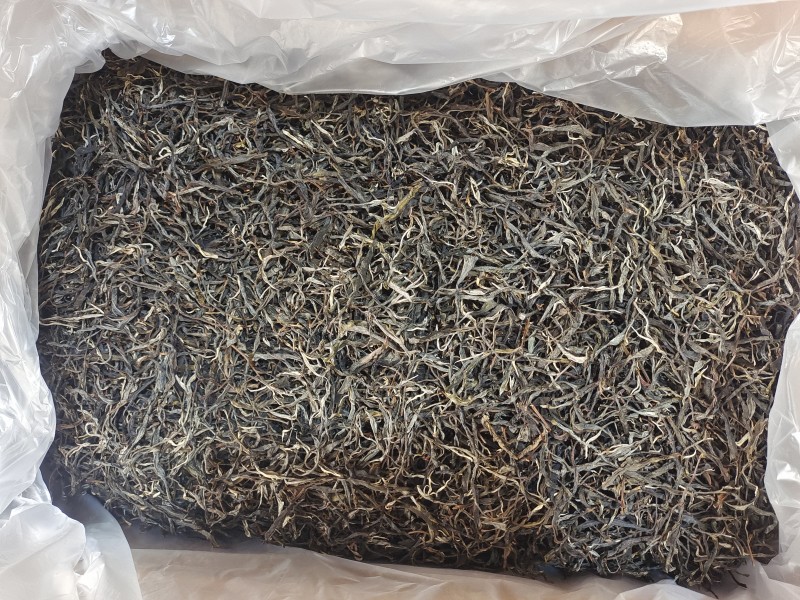 普洱古树大叶茶
