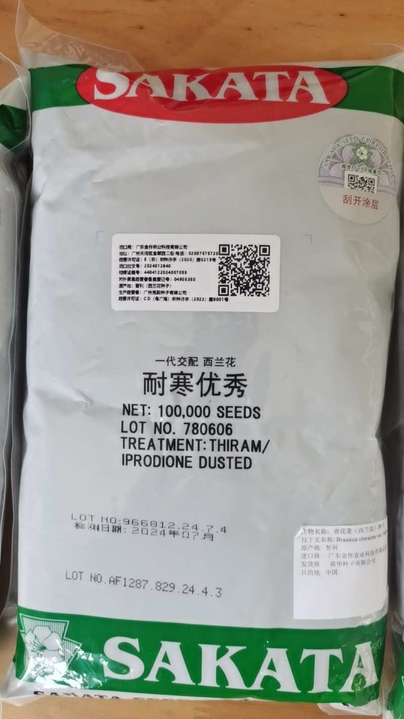 预售西兰花苗8.20左右出苗