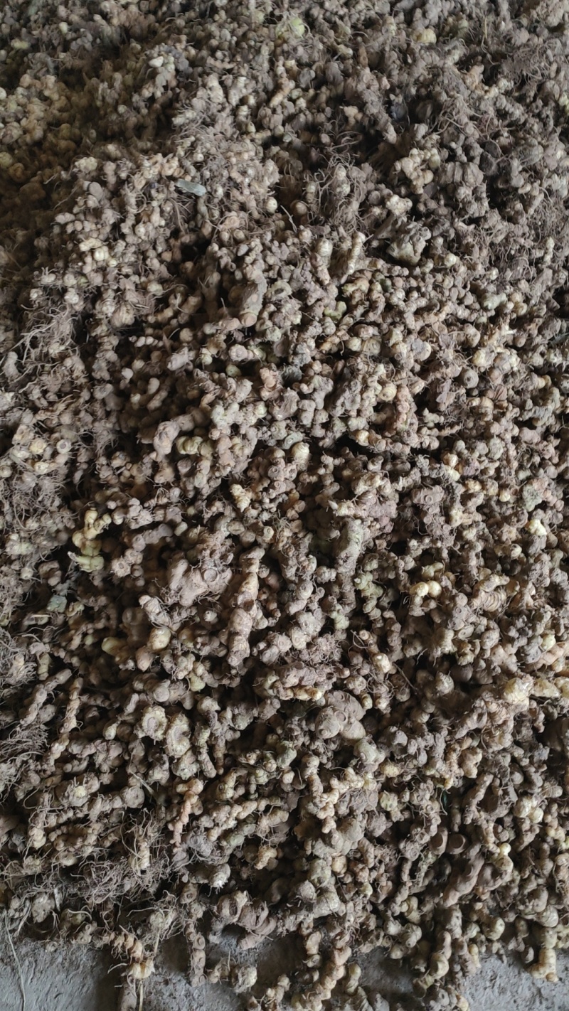 野生黄精干货，品质保证量大从优货源充足产地批发