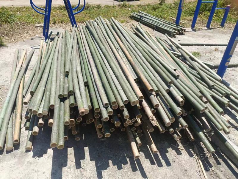 精品竹竿竹子蔬菜竹架支撑竹竿产地直发对接全国