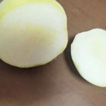 青白桃罐头加工原料