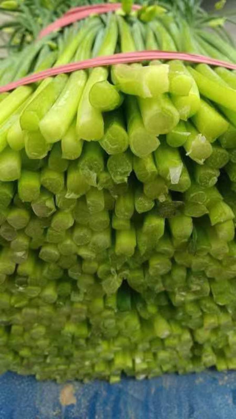 韭菜，韭菜苔，新鲜韭菜苔全国发货，欢迎大家进店选购
