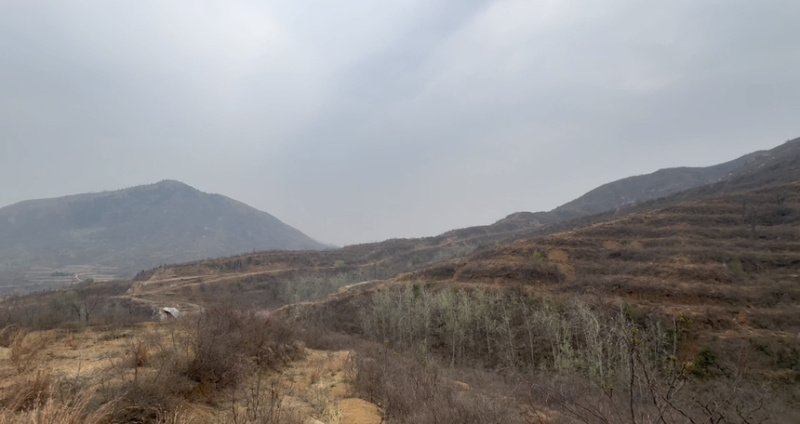 荒山可开采