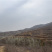 荒山可开采