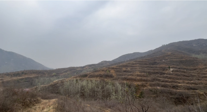 荒山可开采