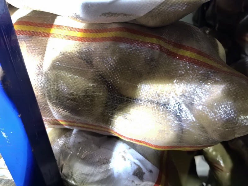 精品土豆