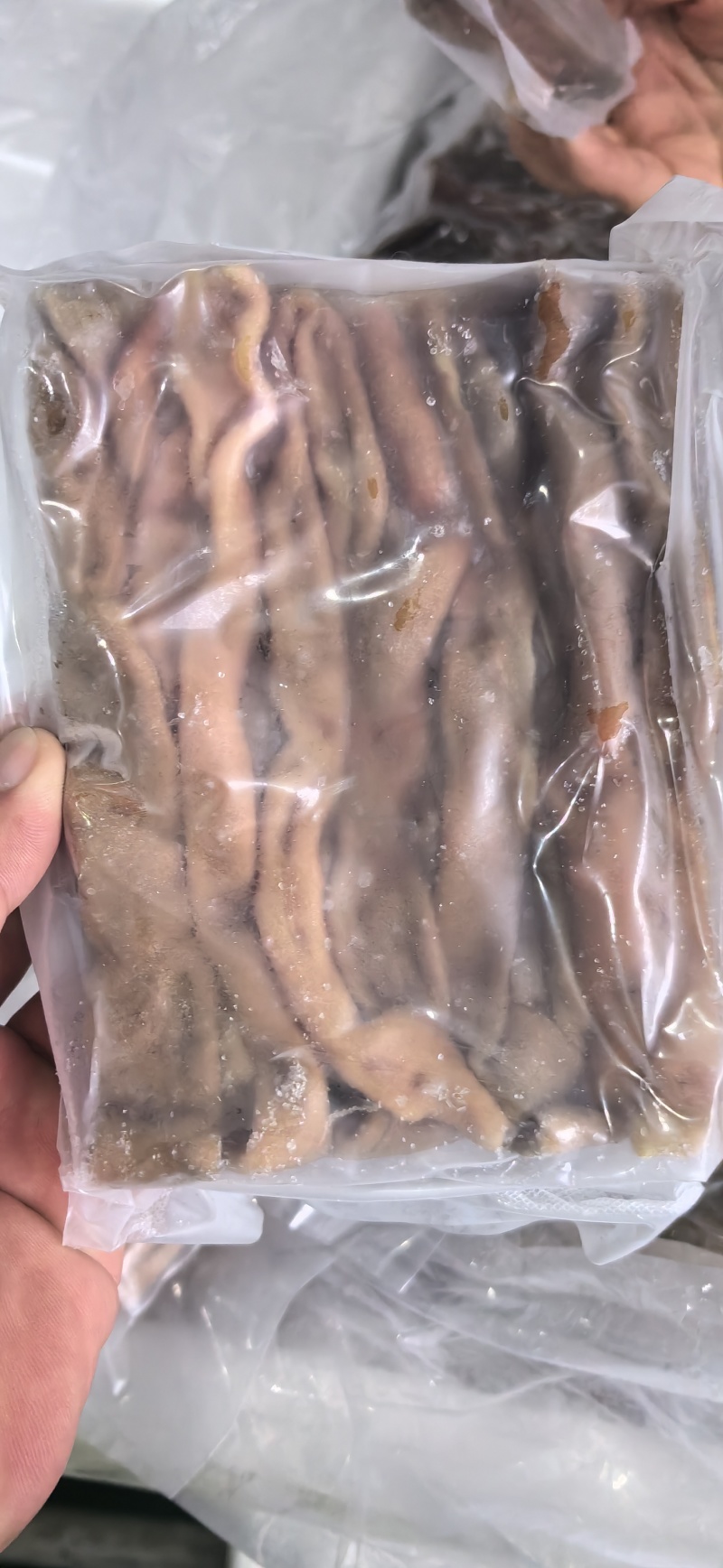 海肠200克/板（红肠，灰肠）高端餐饮，零售，团购供货