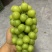 陕西渭南阳光玫瑰，葡萄大量上市量大，从优新鲜采摘