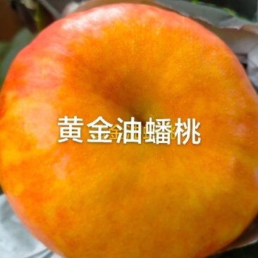 黄金油蟠桃