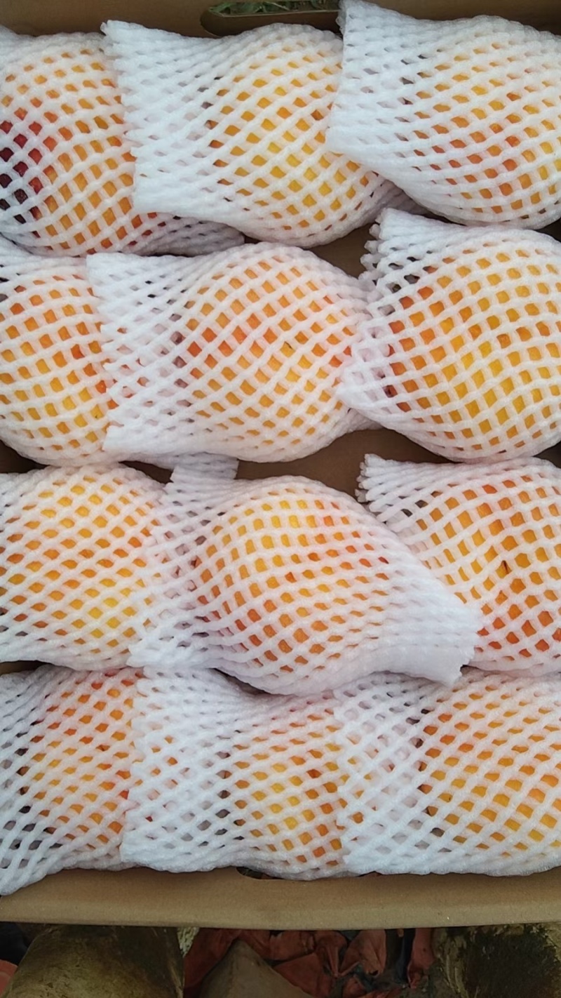 黄金油蟠桃