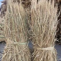 厂家供应治沙稻草酒厂稻草专用保证质量量大全国发货