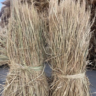 厂家供应治沙稻草酒厂稻草专用保证质量量大优惠全国发货