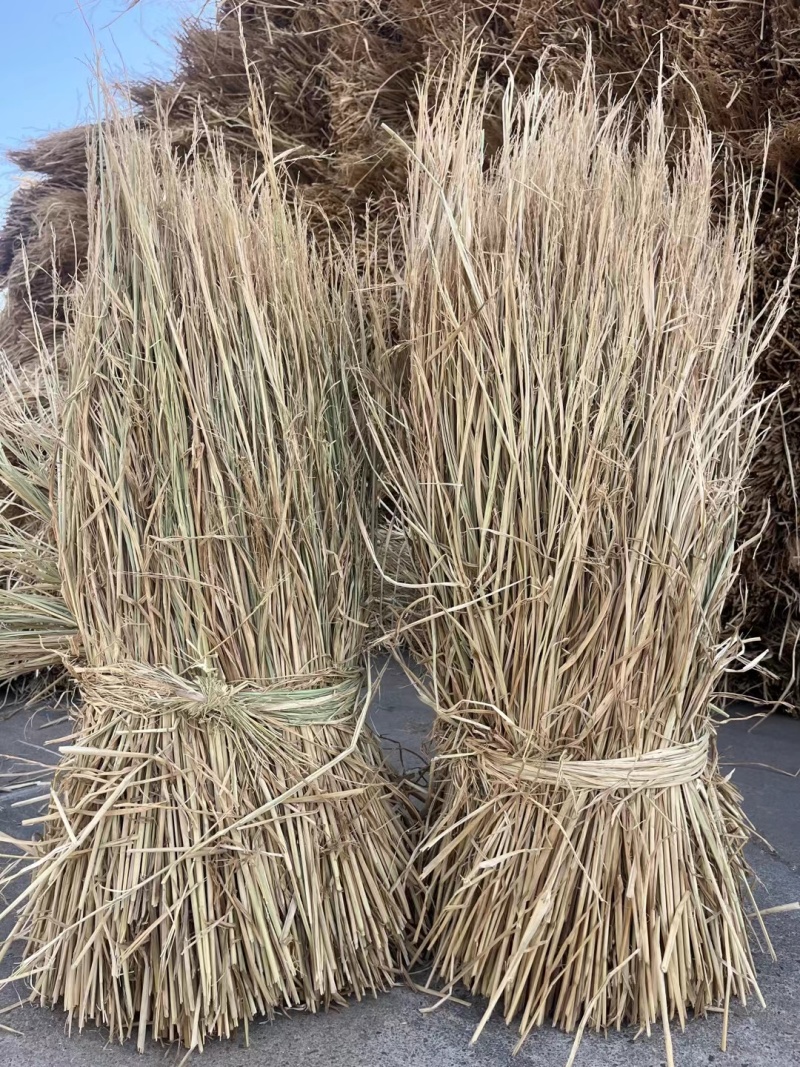 厂家供应治沙稻草酒厂稻草专用保证质量量大优惠全国发货