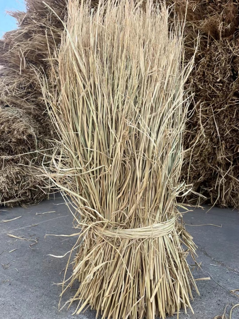 厂家供应治沙稻草酒厂稻草专用保证质量量大优惠全国发货