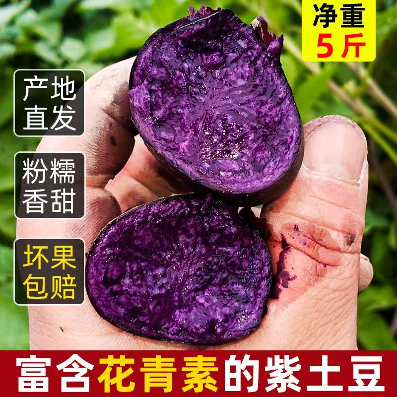 现挖黑金刚黑土豆紫土豆软糯香甜一件代发净重5斤坏果包赔