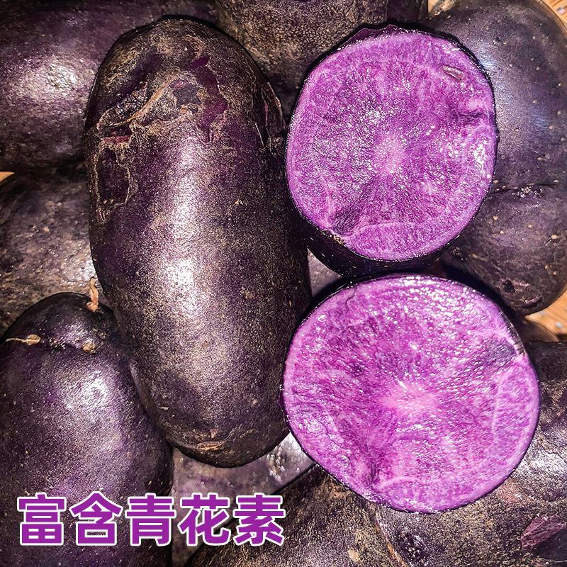 现挖黑金刚黑土豆紫土豆软糯香甜一件代发净重5斤坏果包赔