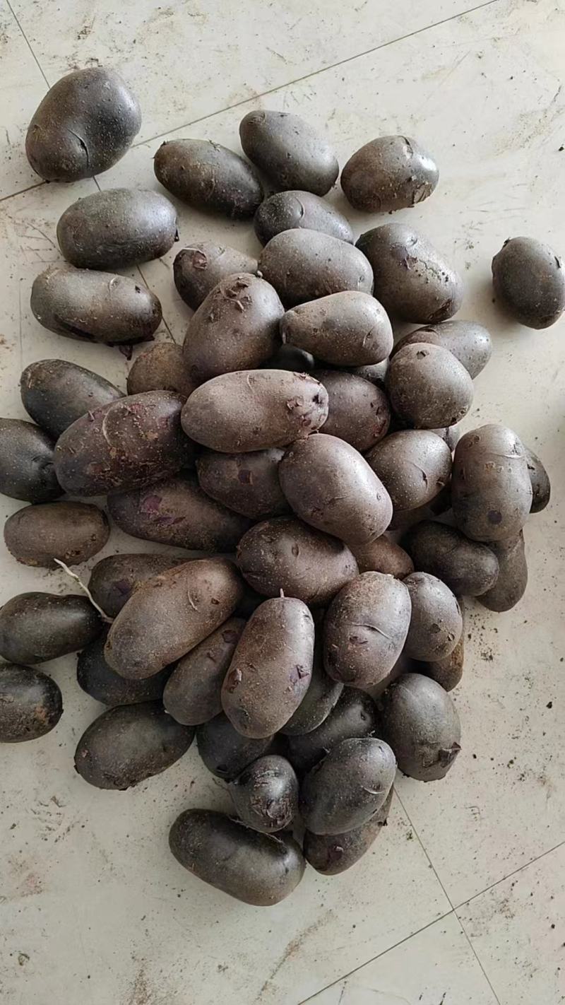 现挖黑金刚黑土豆紫土豆软糯香甜一件代发净重5斤坏果包赔