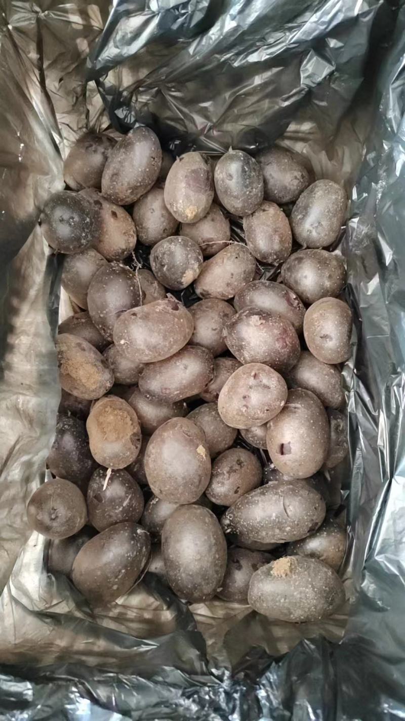 黑土豆黑美人紫土豆紫色马铃薯富含花青素软糯香甜产地直发