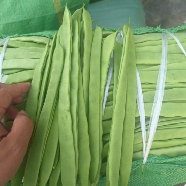 扁豆精品货色泽靓丽，产地直发价格优惠，欢迎咨询