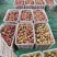 精选大小宝石,大小芙蓉,青翠,秋姬李子品种齐全
