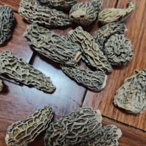 野生羊肚菌1600一公斤，