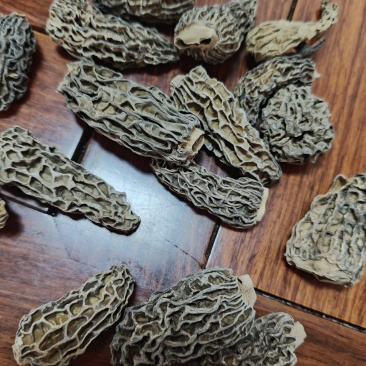 野生羊肚菌1600一公斤，
