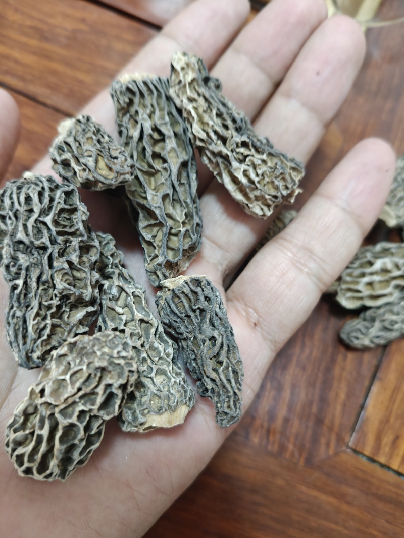 野生羊肚菌1600一公斤，