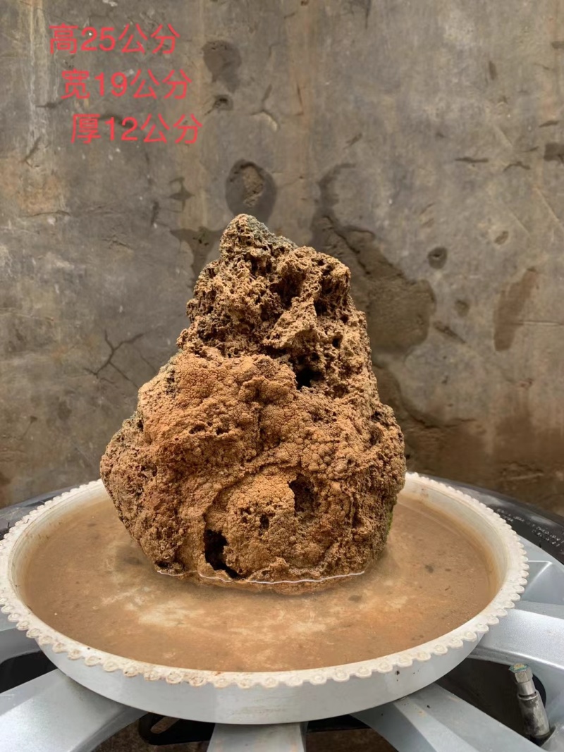 天然上水石吸水石盆景石假山奇石