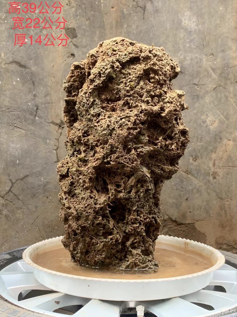 天然上水石吸水石盆景石假山奇石