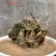 天然上水石吸水石盆景石假山奇石