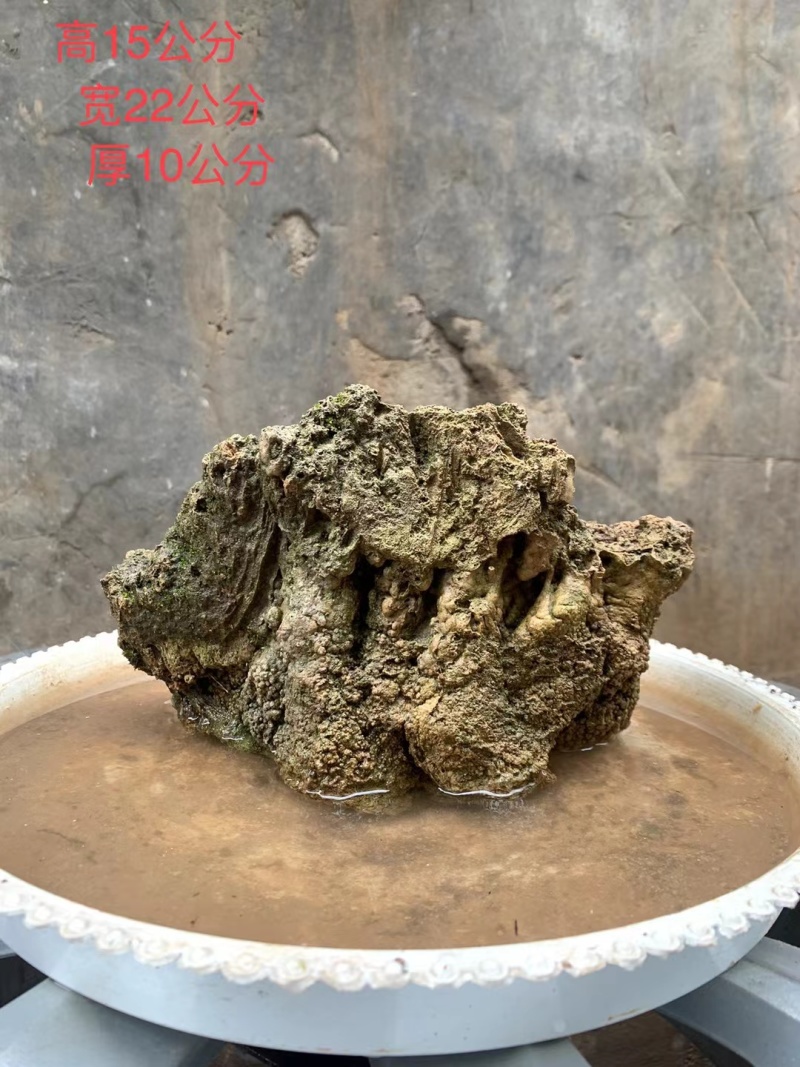 天然上水石吸水石盆景石假山奇石
