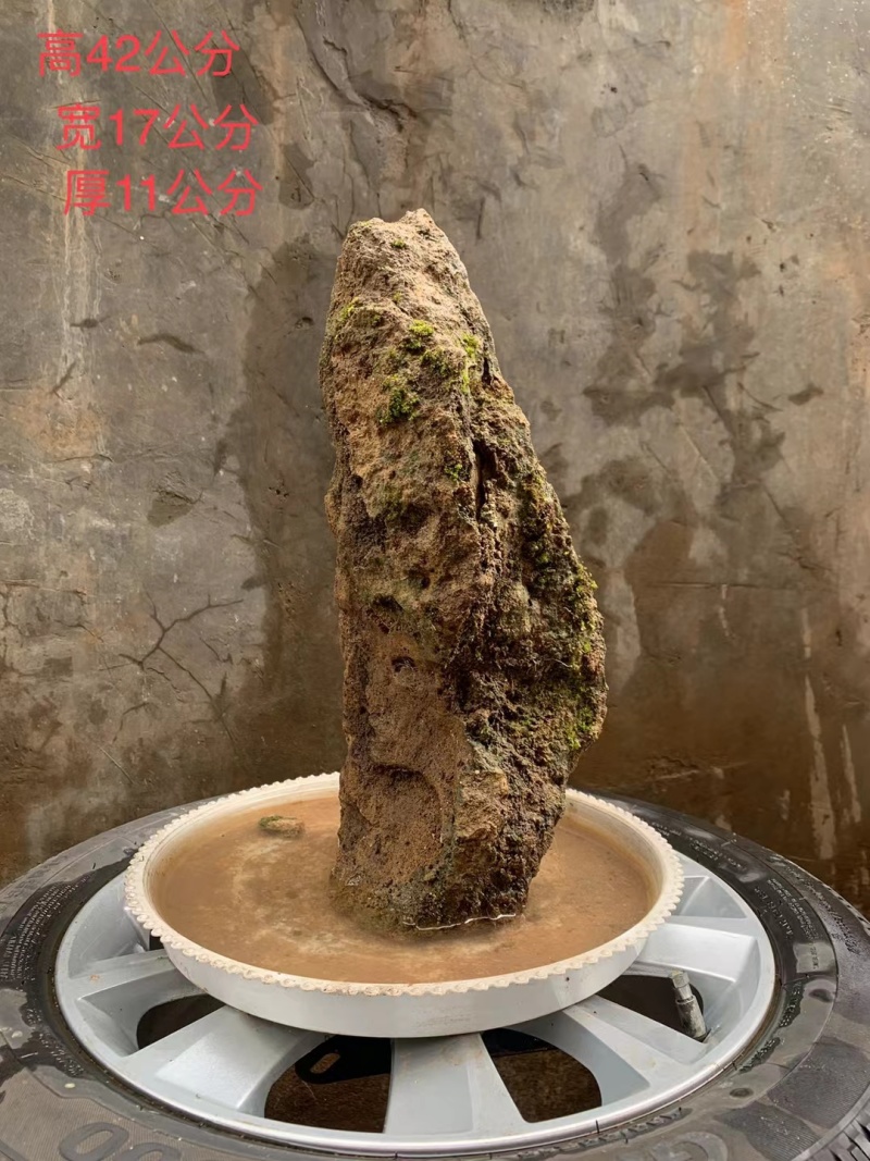 天然上水石吸水石盆景石假山奇石