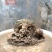 天然上水石吸水石盆景石假山奇石