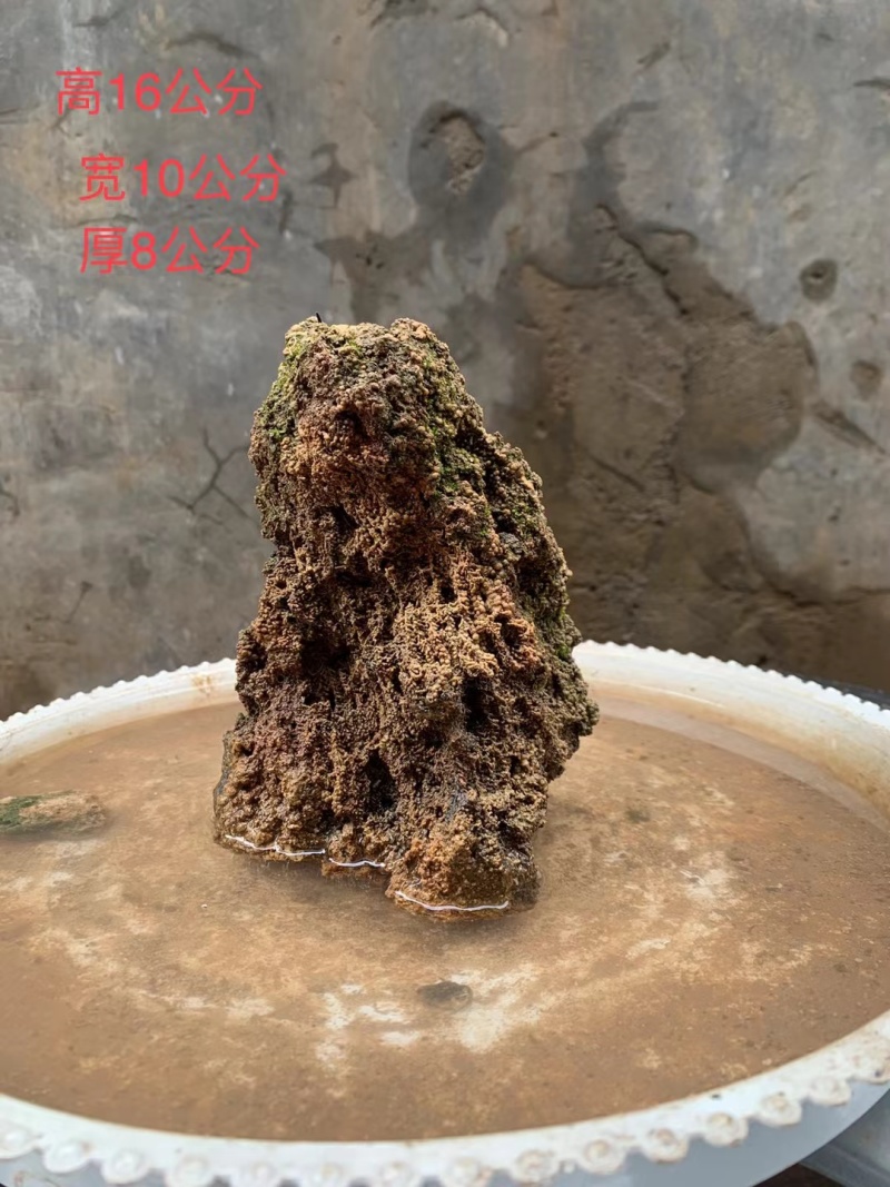 天然上水石吸水石盆景石假山奇石
