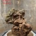 天然上水石吸水石盆景石假山奇石