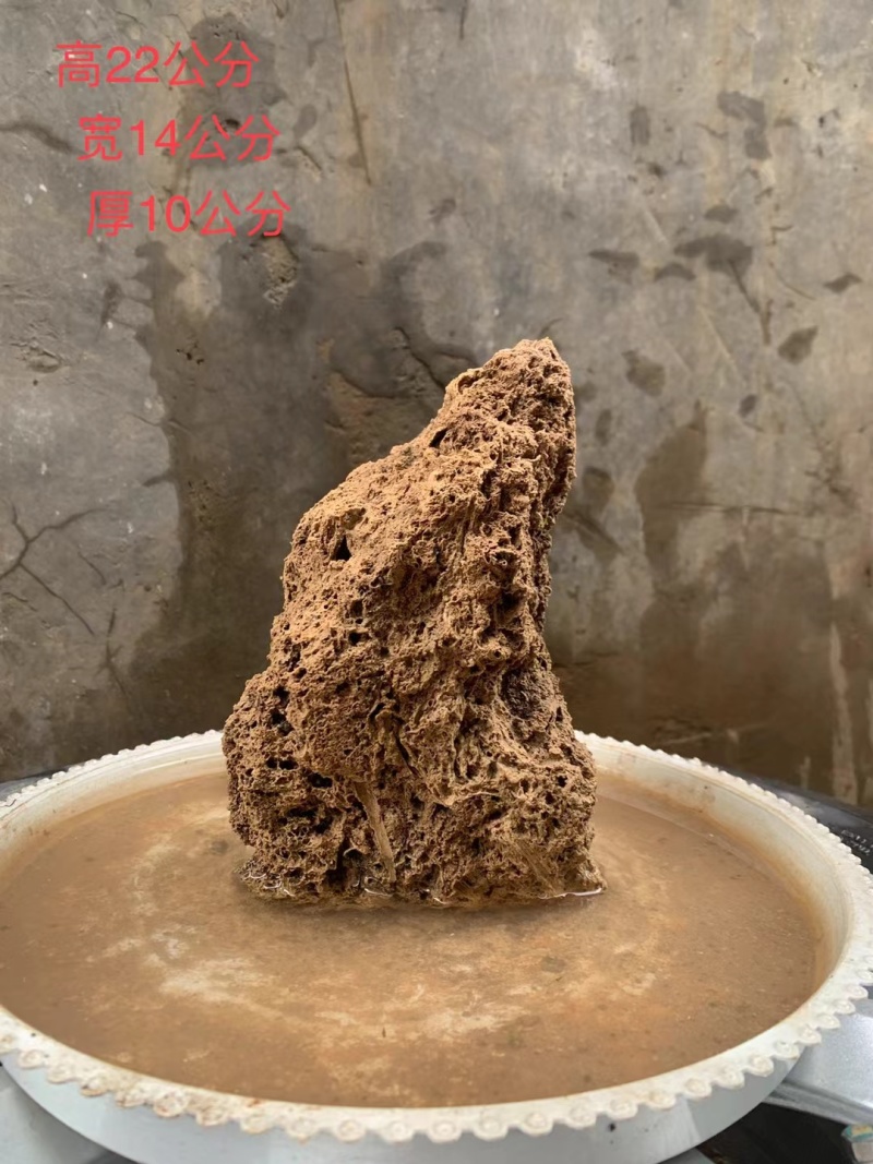 天然上水石吸水石盆景石假山奇石