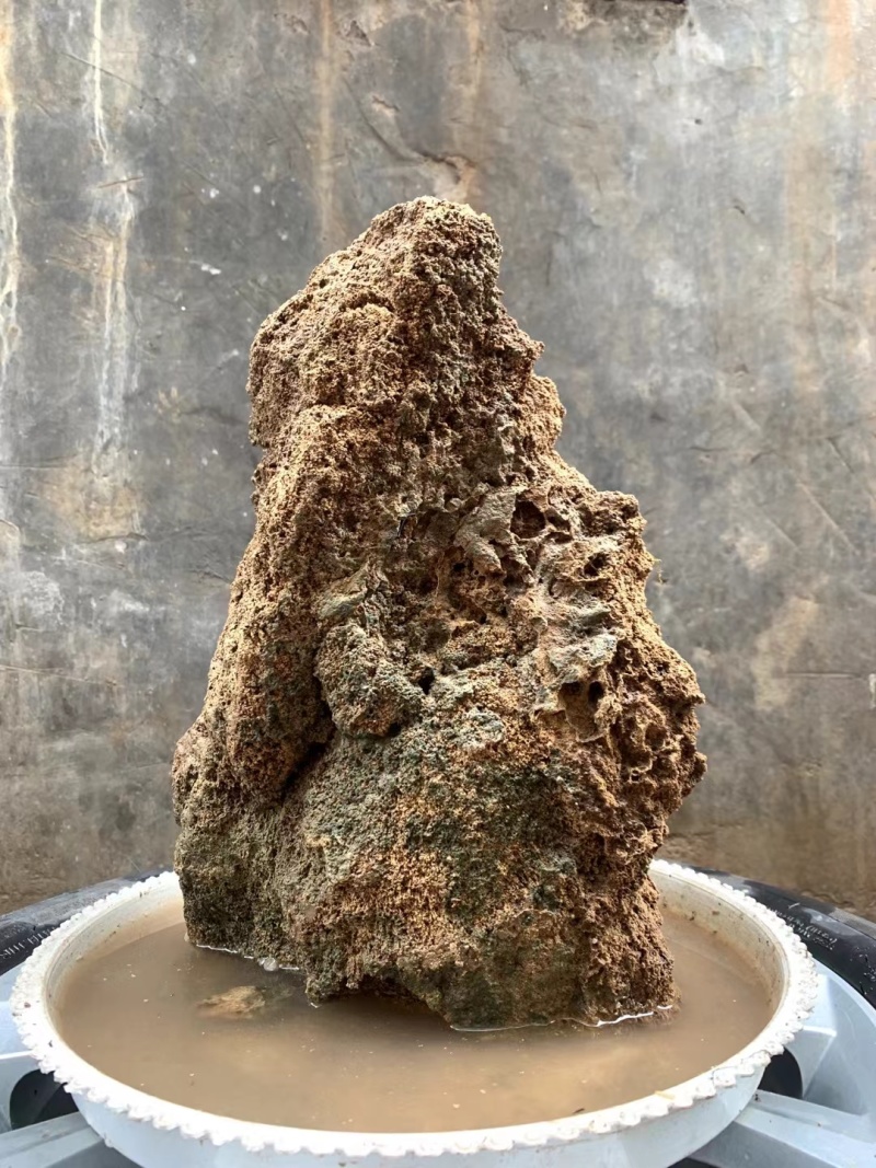天然上水石吸水石盆景石假山奇石