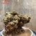 天然上水石吸水石盆景石假山奇石